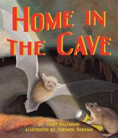 Home_in_the_cave